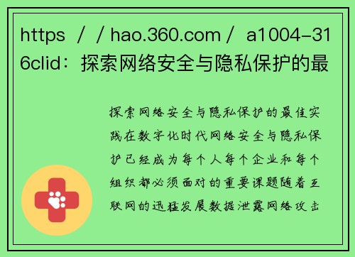 https ／／hao.360.com／ a1004-316clid：探索网络安全与隐私保护的最佳实践